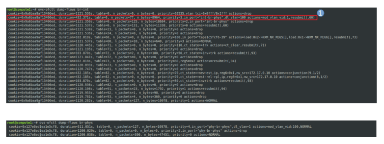 IntegrationBridgeIncomingRulesVLAN