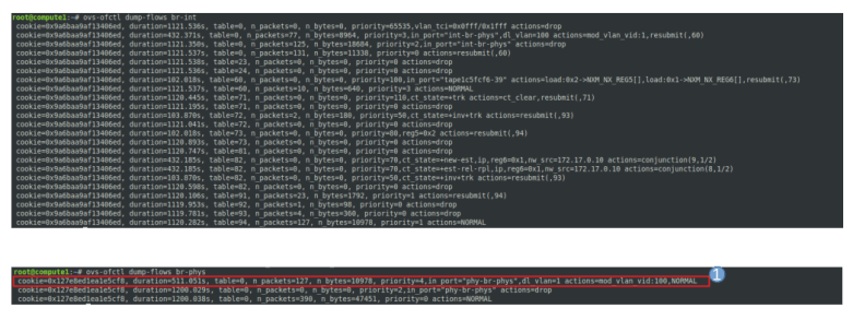 IntegrationBridgeOutgoingRulesVLAN