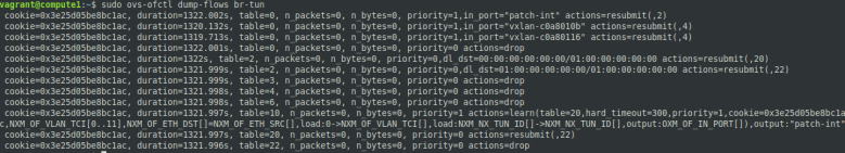 TunnelBridgeFlowsInitial