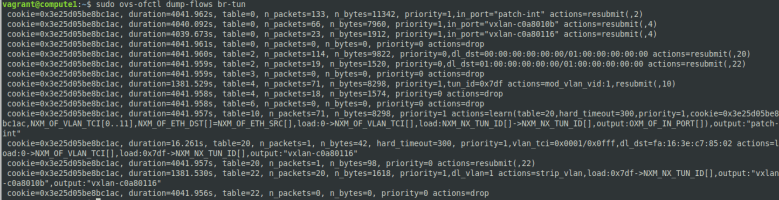 TunnelBridgeFlowsWithInstances